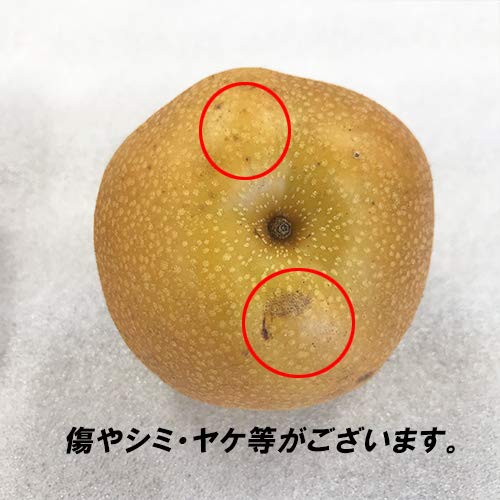 Amazon.co.jp: 訳あり 新高 約7．5キロ ジャンボ梨 熊本 荒尾 6～13